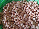Kacang Telur Renyah
