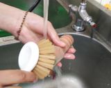 白灼澎湖野生瀨尿蝦的食譜步驟2照片