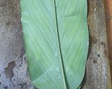 A picture of step 4 of Turmeric leaf gatti recipe | naga panchami special recipe.