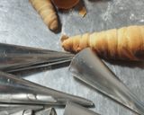 Foto del paso 1 de la receta: Pasabocas cachitos para deleitarte en el Día del Padre