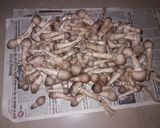 मशरूम की ग्रेवी सब्जी (mushroom ki gravy sabzi recipe in Hindi) रेसिपी चरण 1 फोटो