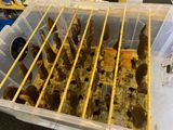 Biltong