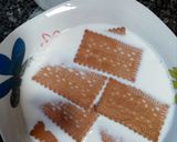 Foto del paso 1 de la receta: Flan de galletas
