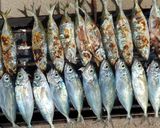 Foto langkah ke 3 dari resep Ikan bakar sambal dabu Buton Utara.