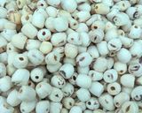 Hình bước làm 1 của món Chè hạt sen táo đỏ đường phèn