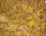 Foto del paso 2 de la receta: Hamburguesas de zapallo y lentejas