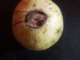 পাকা পেয়ারার জুস(paka pyearar juice recipe in bengali)