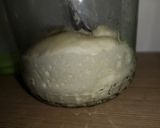 Lievito Madre kovász recept fázis 10 fotója