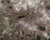 ராகி ரவா தோசை(ragi rava dosai recipe in tamil) ரெசிபி ஸ்டேப் 3 புகைப்படம்