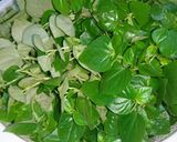 Hình bước làm 1 của món Rau càng cua trộn cá ngừ