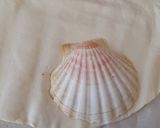 Foto del paso 4 de la receta: Vieiras en hojaldre