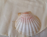 Foto del paso 4 de la receta: Vieiras en hojaldre