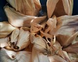 Foto del paso 8 de la receta: Tamalitos de amarillito y salsa verde