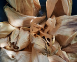 Foto del paso 8 de la receta: Tamalitos de amarillito y salsa verde