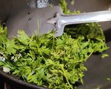 A picture of step 3 of Coriander leaves chutney.