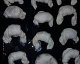 Foto del paso 7 de la receta: Medialunas de Grasa