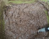Foto del paso 2 de la receta: Brownie Vegano con Porotos negros