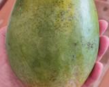Foto del paso 1 de la receta: Postrecito saludable de mango y ricotta 🥭adondequiera que vayas, en frasco o táper 🥭low carb 🥭