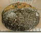 Foto langkah ke 27 dari resep Pandan Charcoal Sourdough Bread (88% - Oven Tangkring).