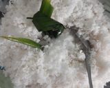 Foto langkah ke 2 dari resep Klepon Ketan Gula Merah (🚫NO kapur sirih).