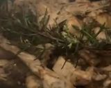 Foto del paso 4 de la receta: Conejo a la cerveza con especias “Sabor Cookpad”