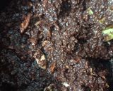Foto del paso 4 de la receta: Salchichón de Chocolate