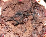 Foto del paso 5 de la receta Mugcake de chocolate y trocitos de oreo
