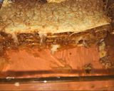 Foto del paso 5 de la receta: Lasaña de carne😋