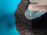Oreo cake