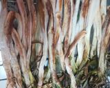 Foto del paso 4 de la receta: Calçots