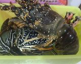 Foto langkah ke 1 dari resep Lobster panggang Mozzarella ketofriendly by maia.