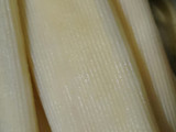 Canelones con huevo, rellenos de queso