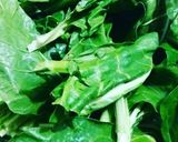 Foto del paso 2 de la receta: Canelones de acelga (panqueques de harina integral)