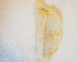 Foto del paso 3 de la receta: Pescadillas de atún