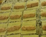 Foto del paso 3 de la receta: Canelones caseros paso a paso