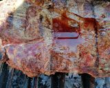 Foto del paso 6 de la receta: Asado de costillar y lomo liso