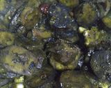 कच्चे केले की सब्जी (Kache kele ki sabzi recipe in Hindi) रेसिपी चरण 3 फोटो