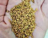 Foto del paso 1 de la receta: Brotes de fenogreco 🌱 Germinación de semillas de fenogreco 🌱