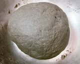 Hình bước làm 3 của món Hamburger nguyên cám tinh than tre