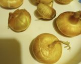 A picture of step 1 of Roasted Roots 2023.