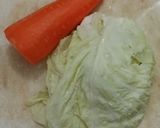 Foto langkah ke 1 dari resep Simple Salad Kol dan Wortel.