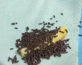 Foto langkah ke 3 dari resep Piscok (pisang coklat).