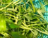Hình bước làm 1 của món Bánh tổ ong gạo lứt và rau mầm
