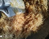 ઘઉં ની મીઠી શેવ (Wheat Sweet Sev Recipe In Gujarati) રેસીપી સ્ટેપ1ફોટો