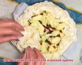 A picture of step 11 of Pastis gascon.