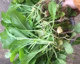 Hình bước làm 1 của món Canh trai nấu rau cải củ