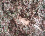 Foto del paso 2 de la receta: Arrollado de hojas de remolacha (esta versión, con atún)