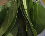 Foto langkah ke 1 dari resep DIY cincau.