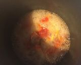 A picture of step 2 of California Farm Tomato Lemon Marmelade.