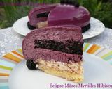 Une image de l'étape 7 de Eclipse Mûre Myrtille Hibiscus.